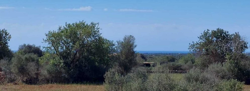 Eine Finca mit Meerblick ist eine Seltenheit und bei Santanyí kaum mehr zu finden