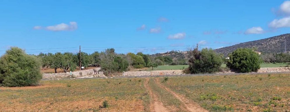 Direkte Zufahrt von der Landstrasse zwischen Santanyí und Alqueria Blanca