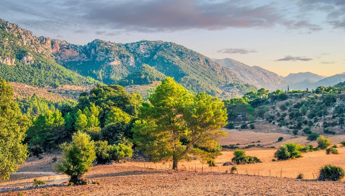 Aussergewöhn&shy;liche Grundstücke auf Mallorca