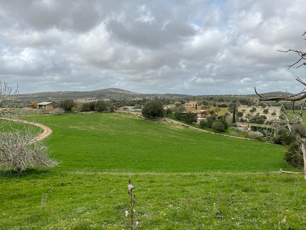 Grundstück bei Sant Llorenc de Cardassar