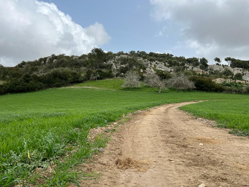 Grundstück bei Sant Llorenc de Cardassar