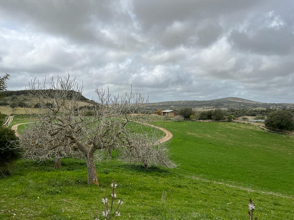 Grundstück bei Sant Llorenc de Cardassar