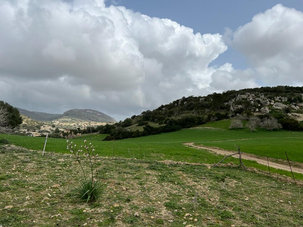Grundstück bei Sant Llorenc de Cardassar