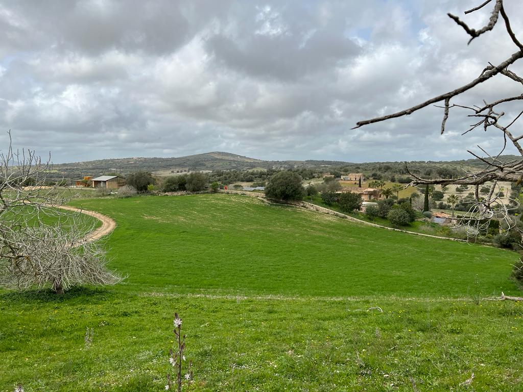 Grundstück bei Sant Llorenc de Cardassar